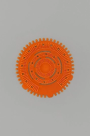 Pisuvar kokusu (Mango)